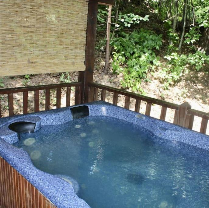 Rustic Black Bear Cabin Pigeon Forge Bagian luar foto